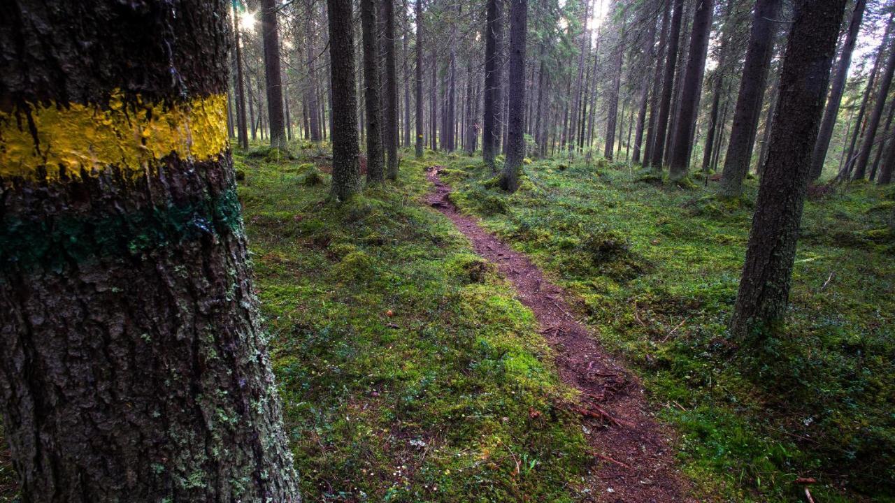Hotel Jaettilaeisenmaa Paltamo Zewnętrze zdjęcie